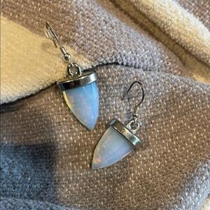 Elegant Silver and Opalescent Earrings(bw)